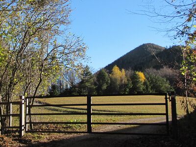 Blick über Gatter Loicheck aufs Kalteneck