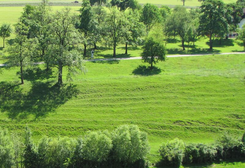 Datei:KL Braunsteiner Viehsteige.jpg