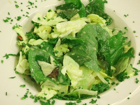 Blattsalat mit Wildkräutern