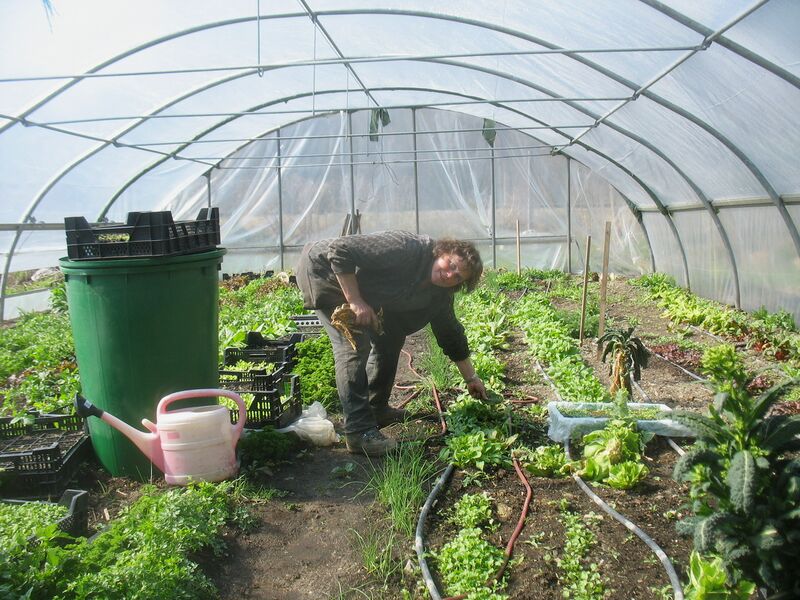 Datei:Frieda Tunnel April2010.jpg