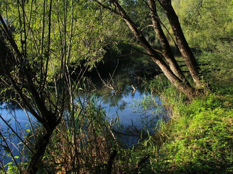 Datei:SG PG Teichidyll.jpg