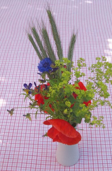 Datei:SG Mohnblüten strauß.jpg