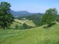 Blick auf Eibeckzufahrt.jpg