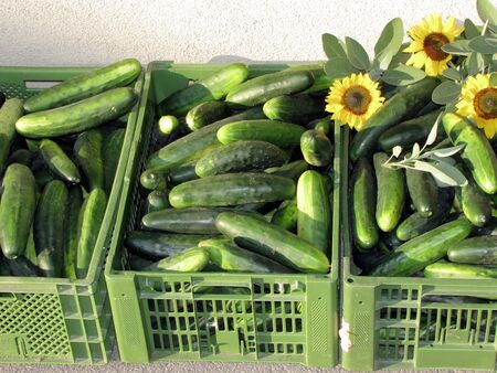 Basis der Küche: frische Bioware aus dem Garten