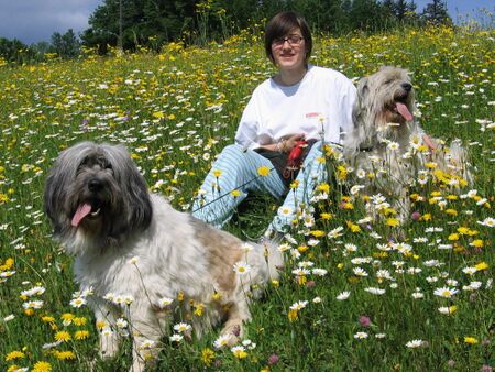 Mit Hunden spazieren