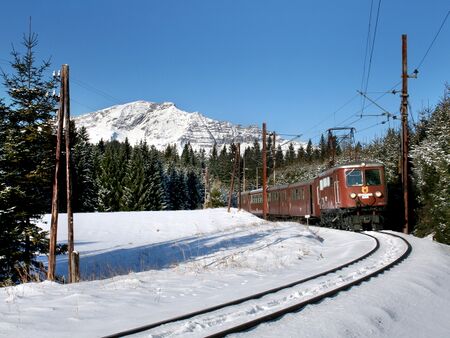 Ötscherbär bei Erlaufklause