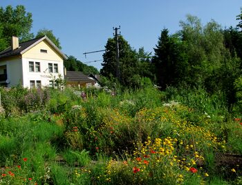 Garten mit Bahnhof.JPG