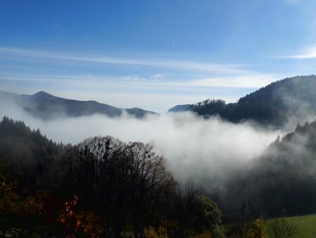Steinschaler Dörfl: Blick Tal bei Herbstnebel