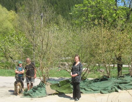 Dirndlstauden von H.Schrofner für den Dirndlsteig