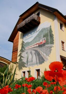 SH-Mariazellerbahnbild zur Mohnblüte