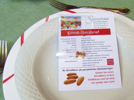 Dirndlkarten auf Teller