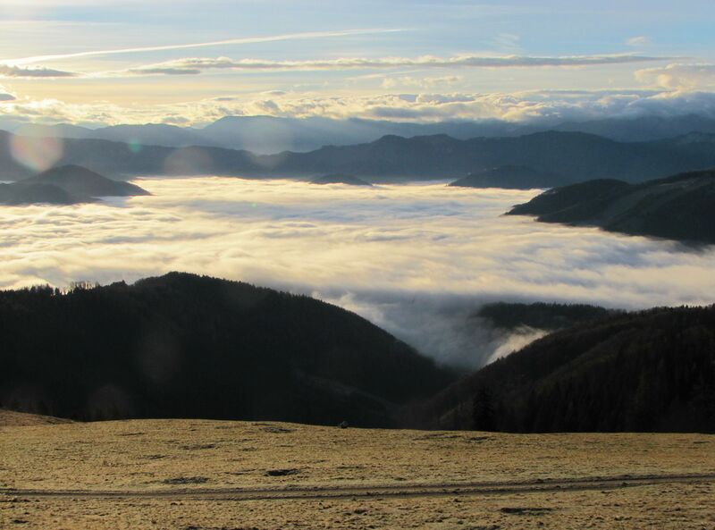 Datei:EST Talnebel Traisental.jpg