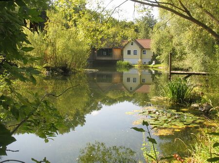 Teichbrücke mit Seerosen