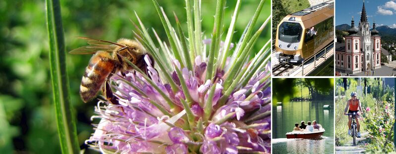Datei:Ausflüge - Sommer Header.jpg