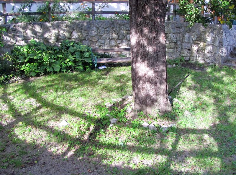 Datei:SH Birnenrondo Schatten.jpg