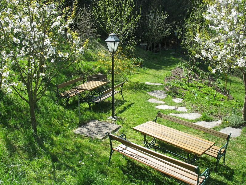 Datei:Südgarten Blüte Sitzecke Idyll8.jpg