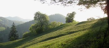 Frühjahrsidyll am Gaisbühel